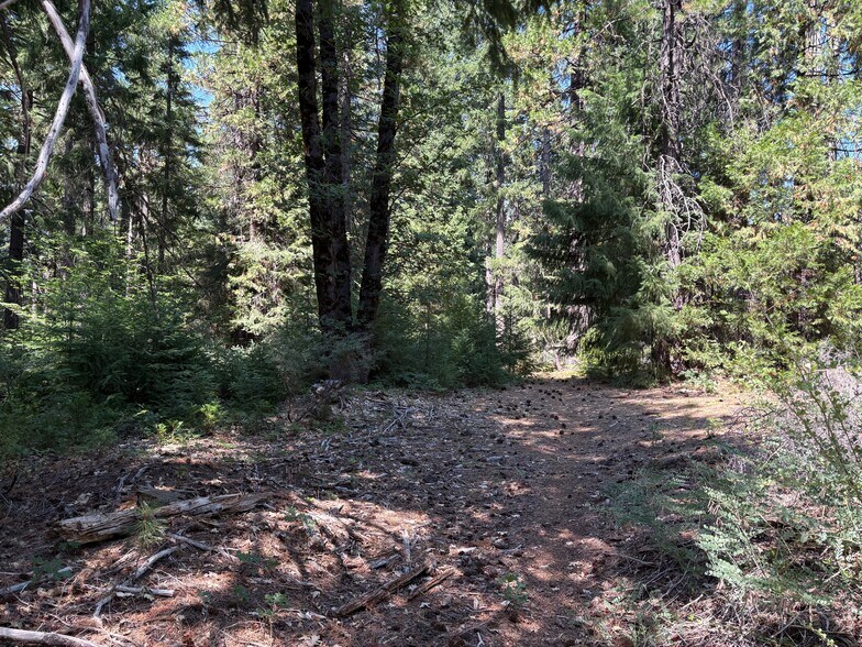 More Photos Of Castle Creek Rd, Mount Shasta Land For Sale