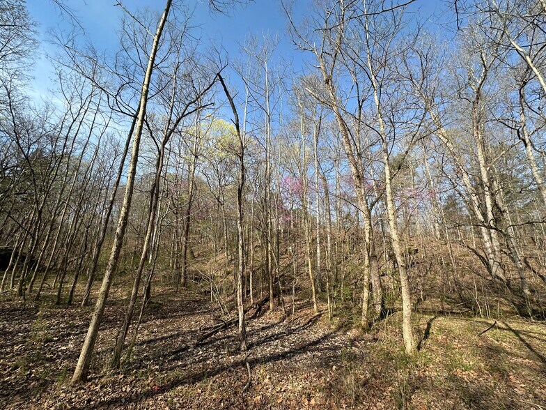 More Photos Of 7312 Highway 60, Georgetown Land For Sale