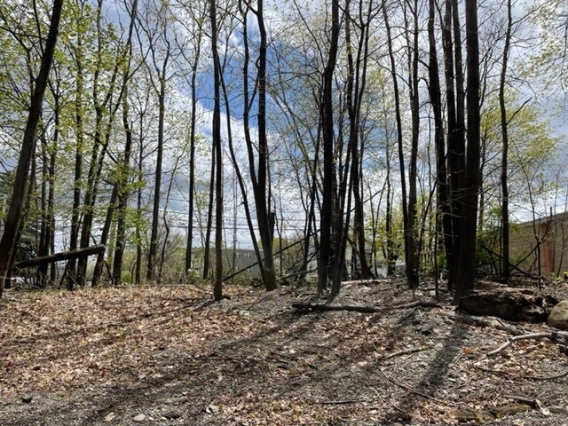 More Photos Of 67 Crescent, Waltham Land For Sale