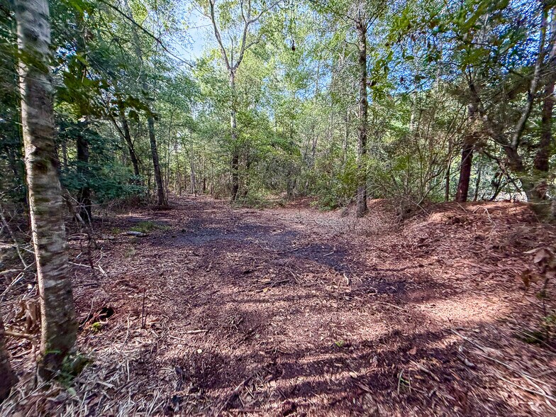 More Photos Of 3.39 Acres, FM 787, Saratoga Land For Sale