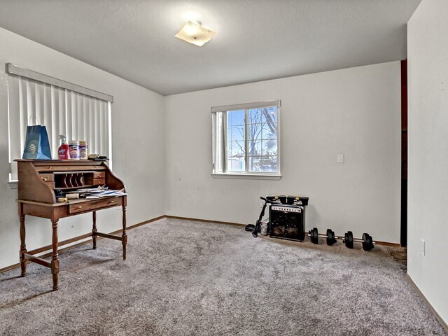More Photos Of 10673 W Halstead Ln, Boise Specialty For Sale