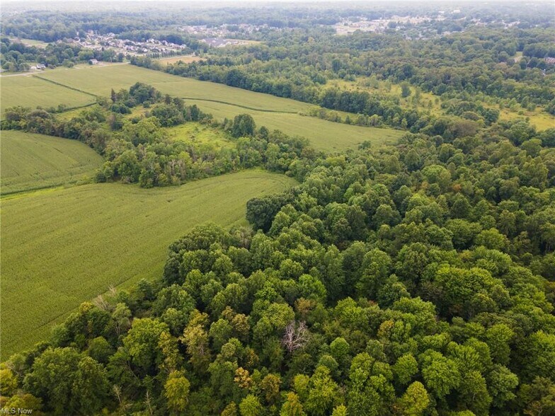 More Photos Of 3810 Center, Youngstown Land For Sale