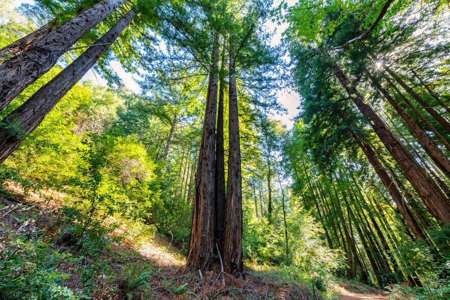 More Photos Of 2372 McKenzie Creek rd, Scotts Valley Land For Sale