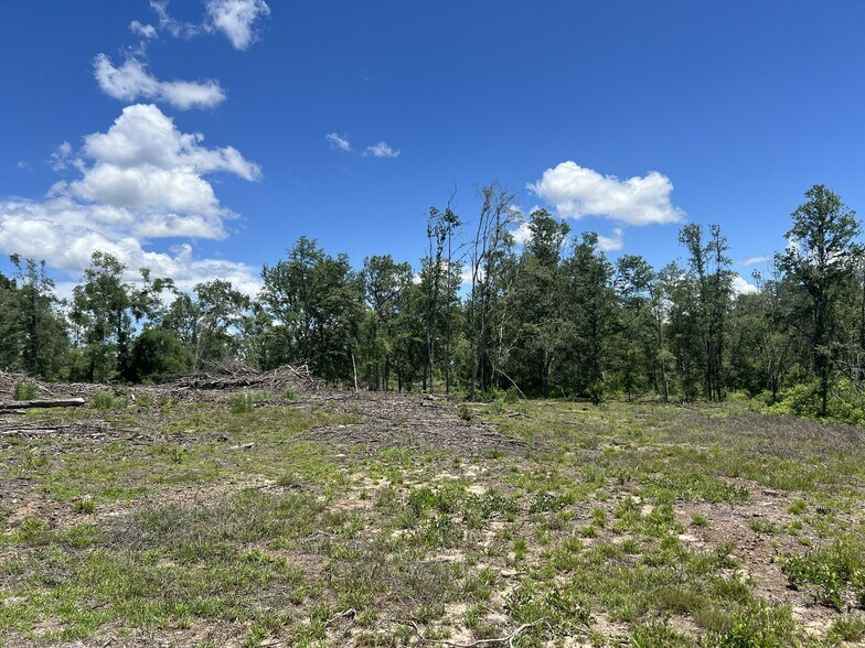 More Photos Of 1650 Withlacoochee Trl, Dunnellon Land For Sale