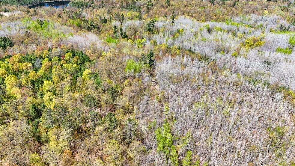 More Photos Of 7849 US Highway 51, Minocqua Sports And Entertainment For Sale