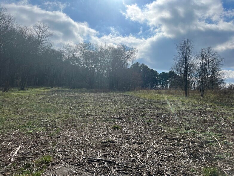 More Photos Of 915 1st Ave, Mount Pleasant Land For Sale