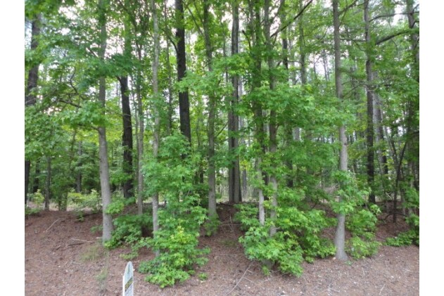 More Photos Of 600 Pony Rd, Zebulon Land For Sale