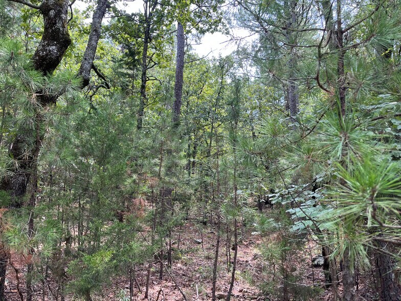 More Photos Of 27546 Reservation Rd, Daisy Land For Sale