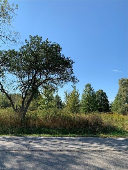 More Photos Of Bryant & SR 82 rd, Garrettsville Land For Sale