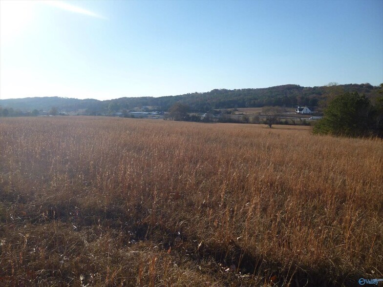 More Photos Of 5504 Martin Ave NE, Fort Payne Land For Sale