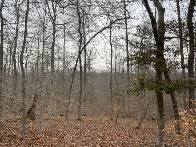 More Photos Of 7585 Mason Springs Rd, La Plata Land For Sale