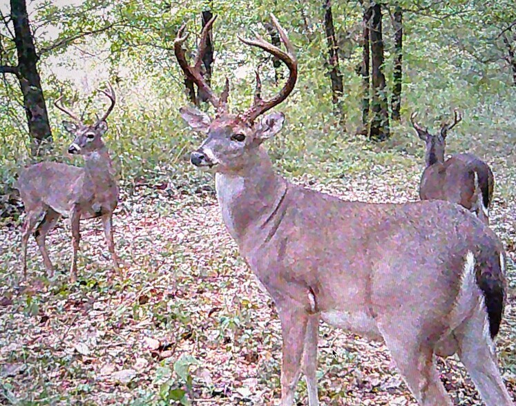 More Photos Of TBD N 4250 Road, Grant Land For Sale