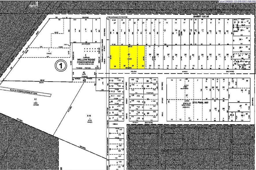 More Photos Of 115 Willow St, Lockport Multifamily For Sale