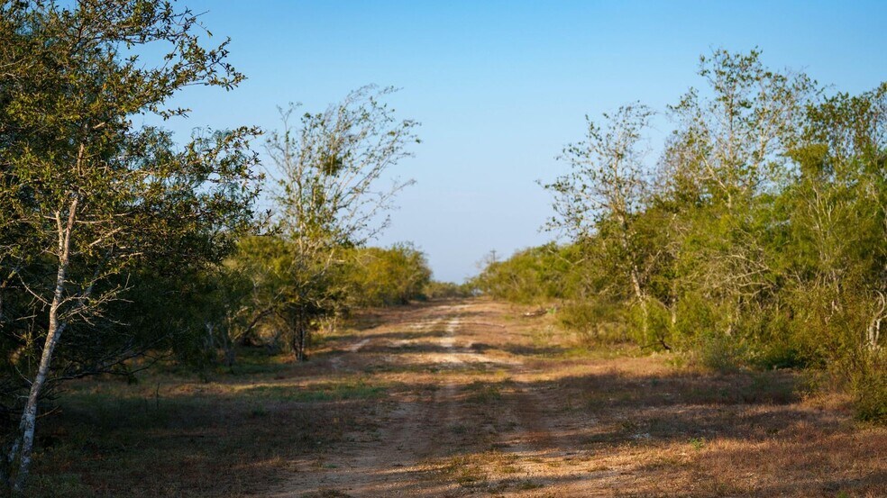 More Photos Of 879 County Road 421, Gonzales Land For Sale