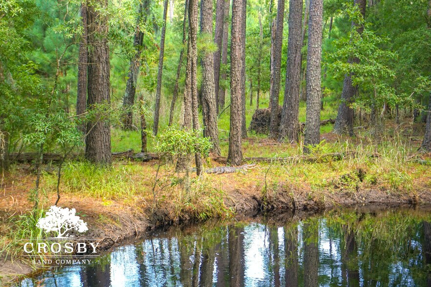 More Photos Of 3009 Lowcountry Drive, Ridgeland Land For Sale