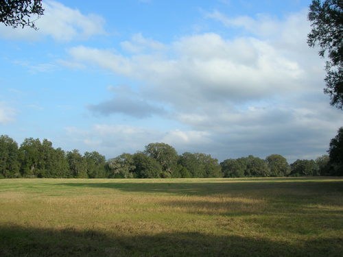 More Photos Of 4107 NE 255th Dr, Melrose Land For Sale