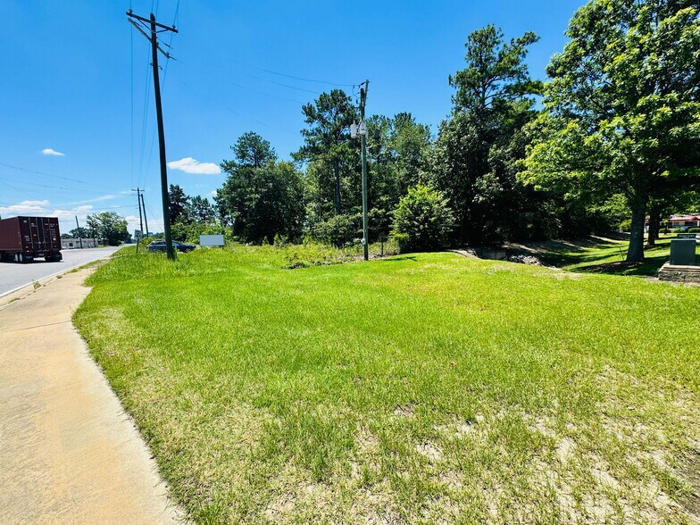 More Photos Of South Highway 441, Dublin Land For Sale