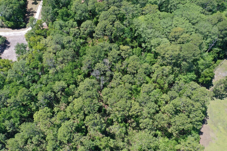 More Photos Of 638 Walnut St, Welaka Land For Sale