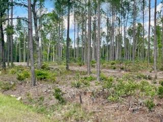 More Photos Of TBD Courthouse Rd, Sutherland Land For Sale