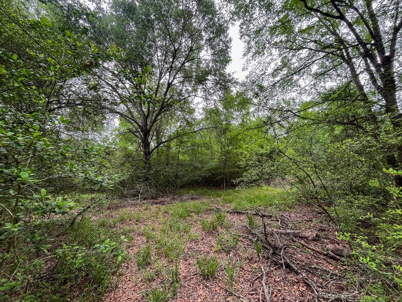 More Photos Of 8 Ranchero Rd, College Station Land For Sale