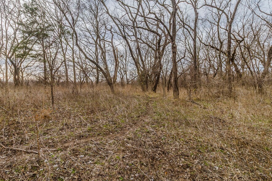 More Photos Of 79+/- Acres on 272nd Rd. Rd @ 41st Rd, Arkansas City Land For Sale