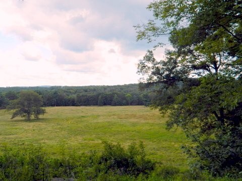 More Photos Of 1744 Route 611, Mount Pocono Land For Sale