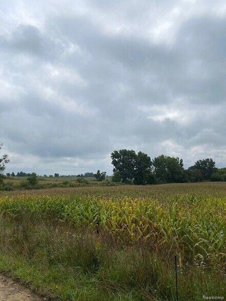 More Photos Of 7451 Fostoria rd, Mayville Land For Sale