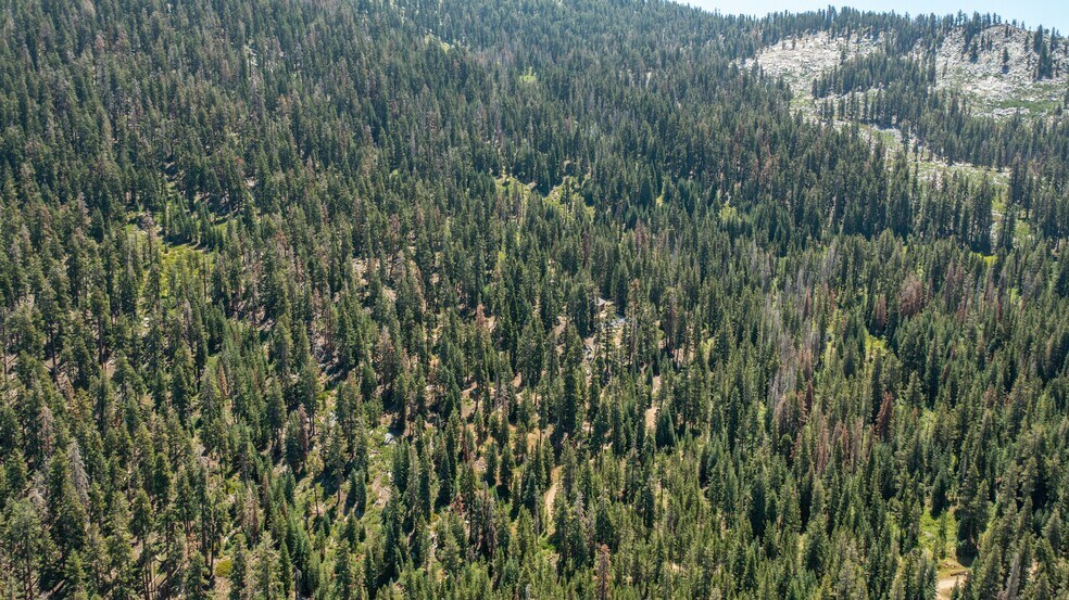 More Photos Of 65745 Big Meadows Road, Kings Canyon National Pk Land For Sale