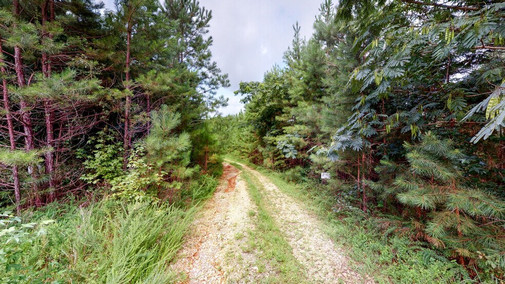 More Photos Of 0 Waters Dr, Ringgold Land For Sale