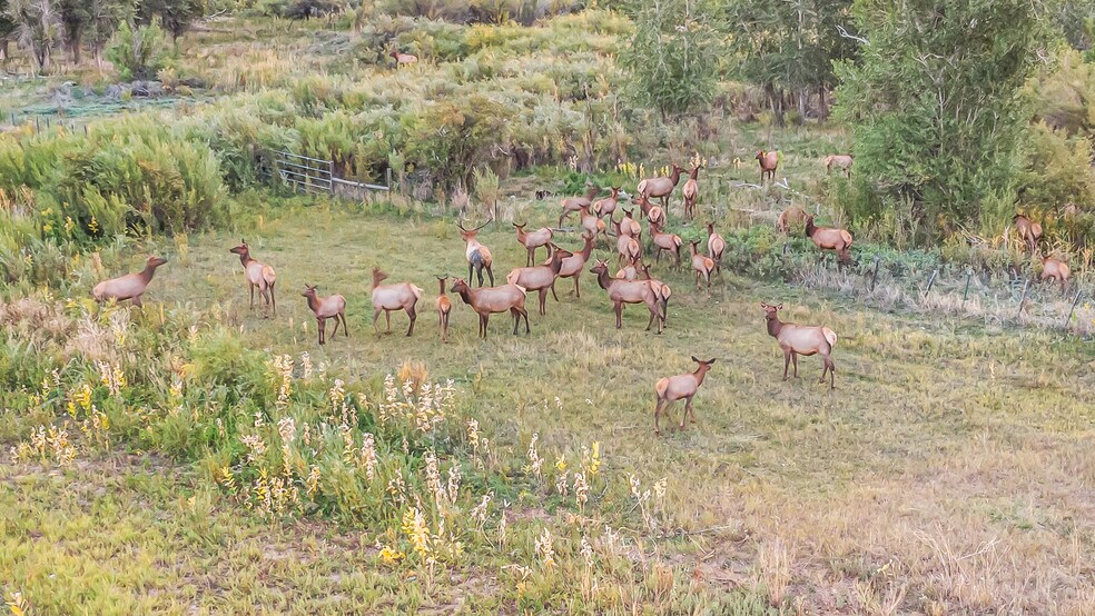 More Photos Of 41009 County Road 5, Meeker Industrial For Sale