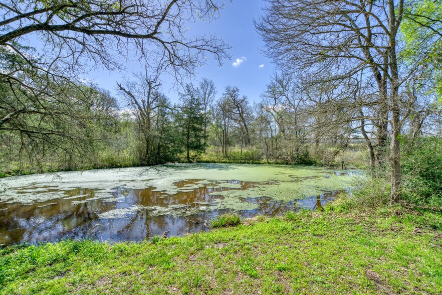 More Photos Of 8370 County Road 150, Somerville Land For Sale