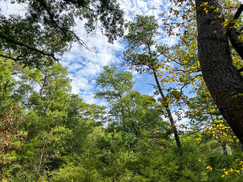 More Photos Of 7045 State Highway 75, Huntsville Land For Sale