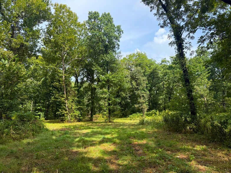 More Photos Of 17660 Golden Rd, Linwood Land For Sale