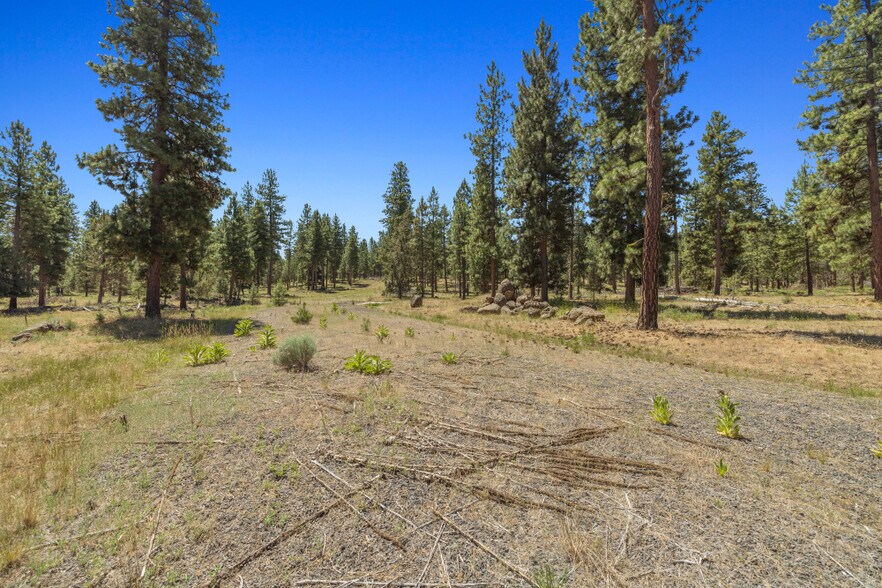 More Photos Of 0 Blue Wing Street, Keno Land For Sale