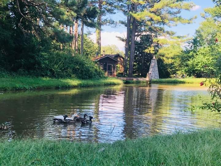 More Photos Of 46 Grove Chapel Church Rd, Winterville Specialty For Lease