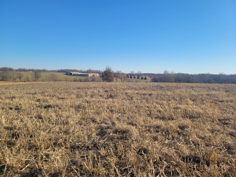 More Photos Of 171 Windy Hill Rd. (20+/- Acres), Elsberry Land For Sale