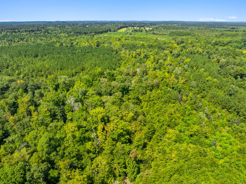 More Photos Of 7471 Highway 155, Saline Land For Sale