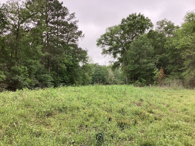 More Photos Of 0 County Road 4876, Dayton Land For Sale