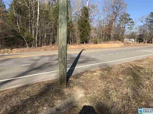 More Photos Of 12970 Highway 25, Calera Land For Sale