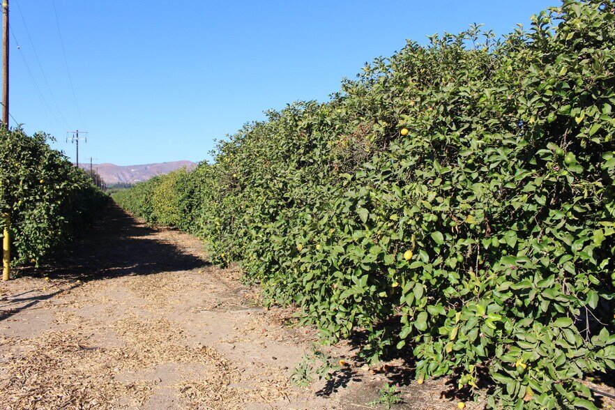 More Photos Of 0 Price Road, Somis Land For Sale