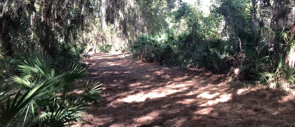 More Photos Of N LAKE REEDY BLVD, Frostproof Land For Sale