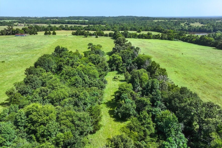 More Photos Of 00 County Road 4501, Jacksonville Land For Sale