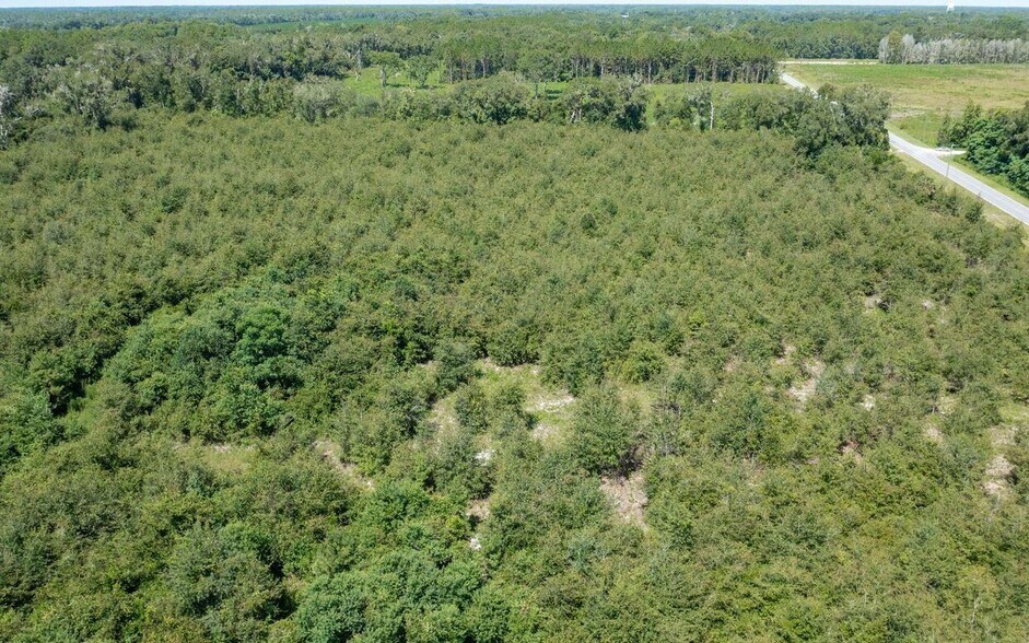 More Photos Of Crossen Avenue & Ichetucknee Rd, Live Oak Land For Sale