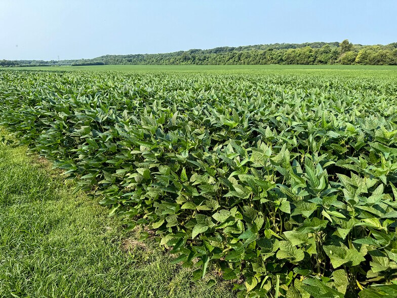 More Photos Of fort knox dr, Vincennes Land For Sale