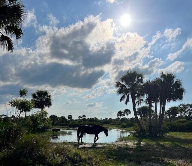 More Photos Of 1303 Cabbage Ln, Okeechobee Land For Sale