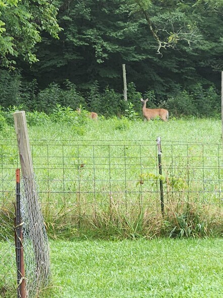 More Photos Of 715 Wheeler Rd, Ewing Land For Sale