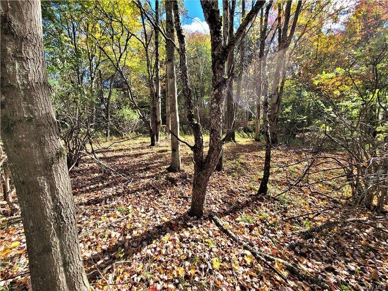 More Photos Of Kaufman Rd, Monticello Land For Sale