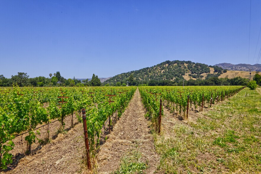 More Photos Of 6160 St Helena hwy, Napa Land For Sale