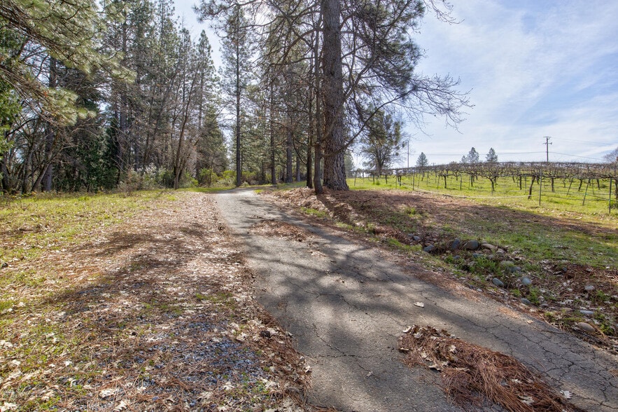 More Photos Of 4771 Greenhills Rd, Placerville Winery Vineyard For Sale