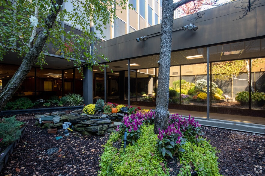 More Photos Of 98 Cuttermill Rd, Great Neck Office For Lease